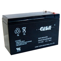 Аккумулятор для мотоциклов Casil  12V-9 Ah